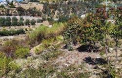 L1196  Plot of land with approved project for sale in Bordighera. 12