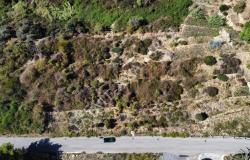 L1196  Plot of land with approved project for sale in Bordighera. 13