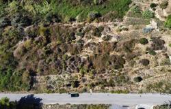 L1196 Plot of land with approved project for sale in Bordighera. 13