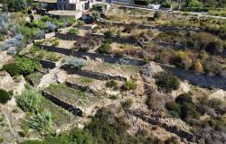 L1196  Plot of land with approved project for sale in Bordighera. 14