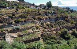 L1196 Plot of land with approved project for sale in Bordighera. 15