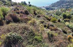 L1196  Plot of land with approved project for sale in Bordighera. 17