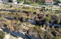 L1196  Plot of land with approved project for sale in Bordighera. 19