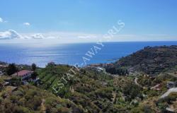 L1196  Plot of land with approved project for sale in Bordighera. 8