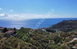 L1196 Plot of land with approved project for sale in Bordighera. 8