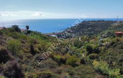 L1196  Plot of land with approved project for sale in Bordighera. 9