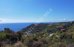 L1196  Plot of land with approved project for sale in Bordighera. 0