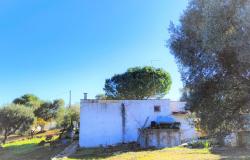 Ostuni Ref: 4939 9