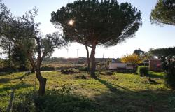 Civitavecchia, building plot 7