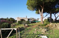 Civitavecchia, building plot 5