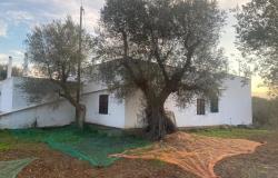 Ostuni Ref: 4986 14
