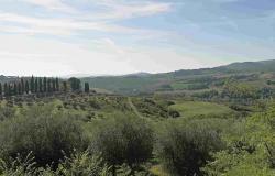 large farm with chianti docg wineyards, Ref. 835 5