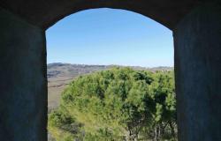 large farm with chianti docg wineyards, Ref. 835 13