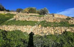 L1205 Plot of land with sea view and easy access for sale in Bordighera 9