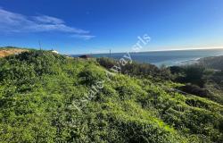 L1205 Plot of land with sea view and easy access for sale in Bordighera 12