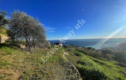 L1205 Plot of land with sea view and easy access for sale in Bordighera 18