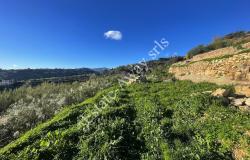 L1205 Plot of land with sea view and easy access for sale in Bordighera 1