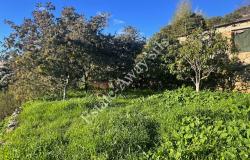 L1205 Plot of land with sea view and easy access for sale in Bordighera 19