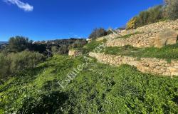L1205 Plot of land with sea view and easy access for sale in Bordighera 2