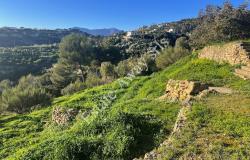 L1205 Plot of land with sea view and easy access for sale in Bordighera 4