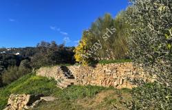 L1205 Plot of land with sea view and easy access for sale in Bordighera 5