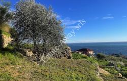 L1205 Plot of land with sea view and easy access for sale in Bordighera 6