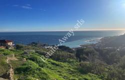 L1205 Plot of land with sea view and easy access for sale in Bordighera 7