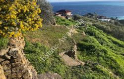 L1205 Plot of land with sea view and easy access for sale in Bordighera 8