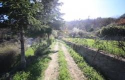 L841 For sale in Dolceacqua, detached house 14