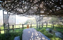L841 For sale in Dolceacqua, detached house 16