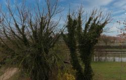 Castelguglielmo, the ideal investment 9