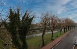 Castelguglielmo, the ideal investment 8