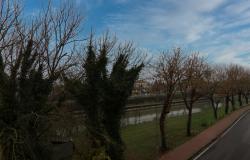 Castelguglielmo, the ideal investment 24
