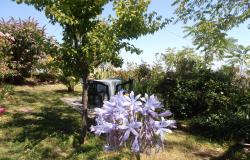 Farmhouse garden