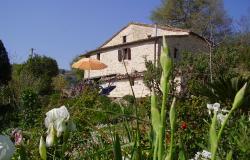 Iris and Rose gardens