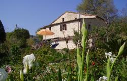 Iris and Rose gardens