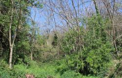 Lake and mountain view apartment with a  stone structure, 60sqm to renovate in the old part of Bomba 200 meters to the center. 7