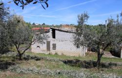 Detached, Bungalow of 110sqm with 4000sqm of olives, 2 beds, 7km to beach with outbuilding 6