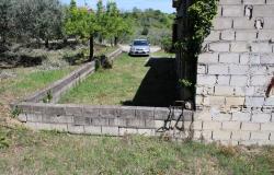 Detached, Bungalow of 110sqm with 4000sqm of olives, 2 beds, 7km to beach with outbuilding 7