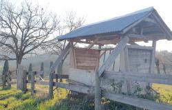 Rovolon – Euganean Hills – Stunning farmhouse with vineyard and olive grove. Ref. 98 21