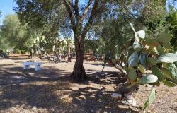 Trulli to be restored/expanded 14