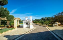 192607 - Country villa with pool 15