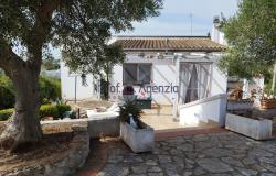 172612 - Villa in the countryside 0