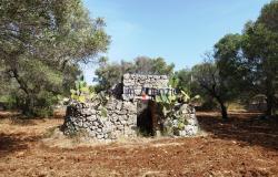 192614 - Trulli to be renovated 0