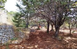 192614 - Trulli to be renovated 12