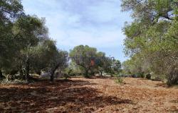 192614 - Trulli to be renovated 14