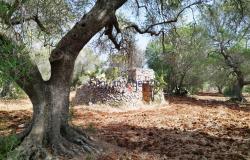 192614 - Trulli to be renovated 1