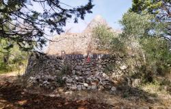 192614 - Trulli to be renovated 5