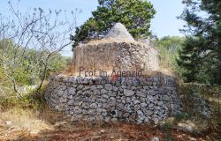 192614 - Trulli to be renovated 6