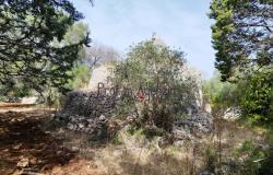 192614 - Trulli to be renovated 7